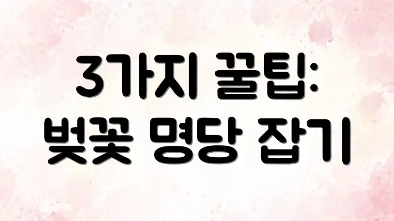 3가지 꿀팁: 벚꽃 명당 잡기