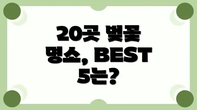 20곳 벚꽃 명소, BEST 5는?