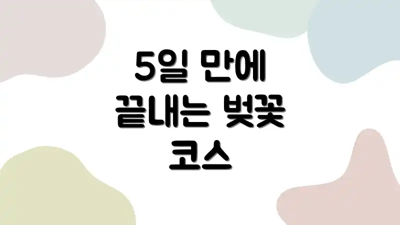 5일 만에 끝내는 벚꽃 코스