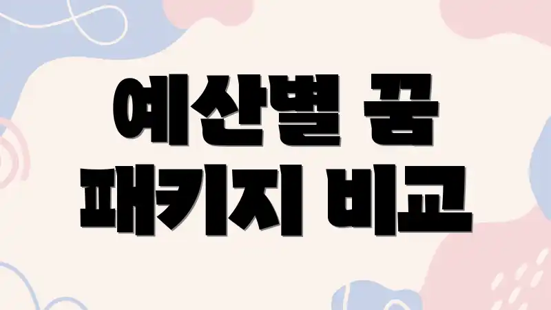 예산별 꿈 패키지 비교