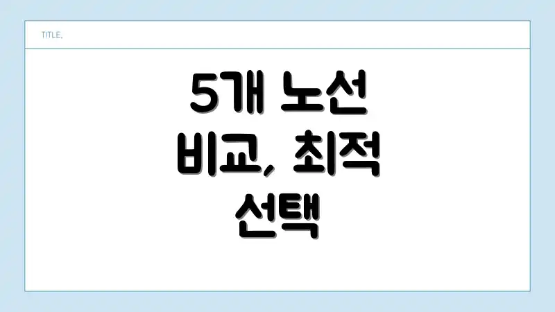 5개 노선 비교, 최적 선택