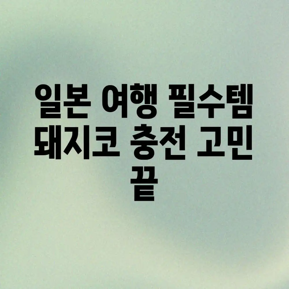 일본 여행 필수템! 돼지코, 충전 고민 끝!