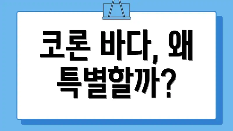 코론 바다, 왜 특별할까?