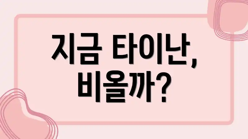 지금 타이난, 비올까?