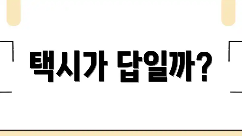 택시가 답일까?