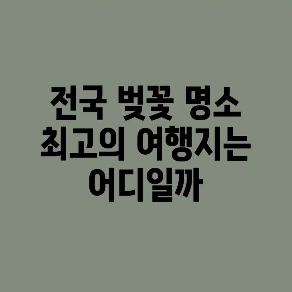 전국 벚꽃 명소, 최고의 여행지는 어디일까? 전국 벚꽃 명소, 최고의 여행지는 어디일까?
