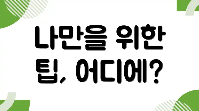 나만을 위한 팁, 어디에?