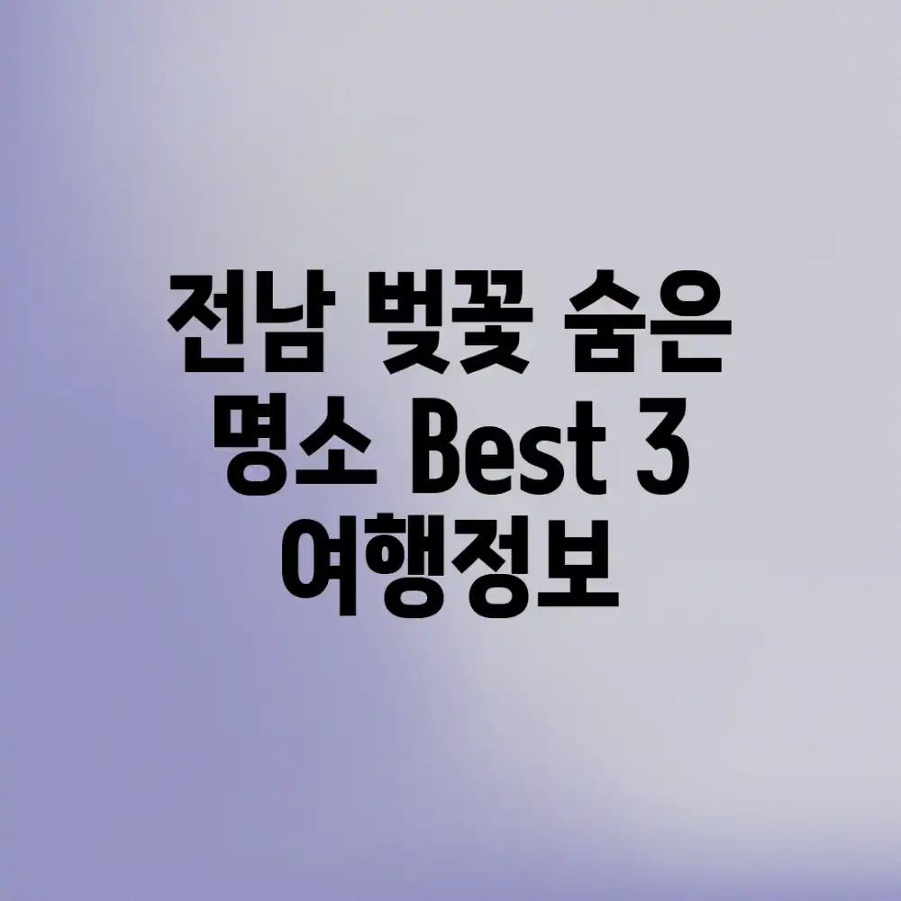 전남 벚꽃 숨은 명소 Best 3 여행정보