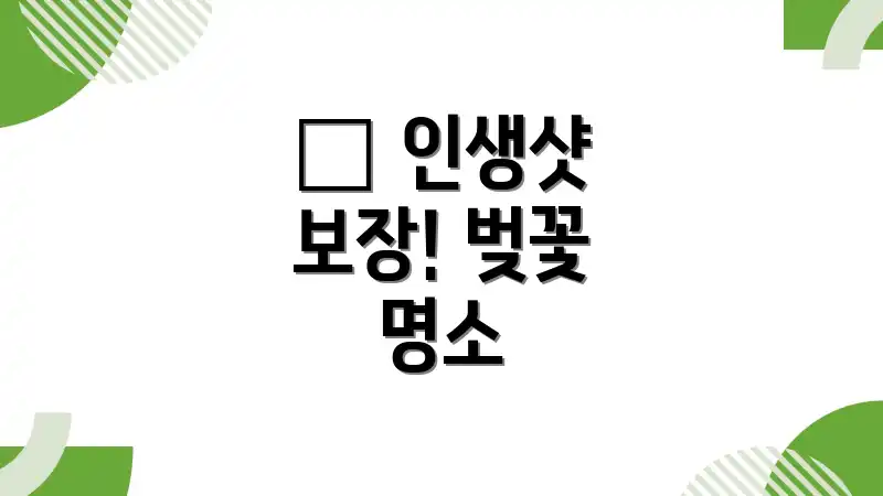 🌸 인생샷 보장! 벚꽃 명소