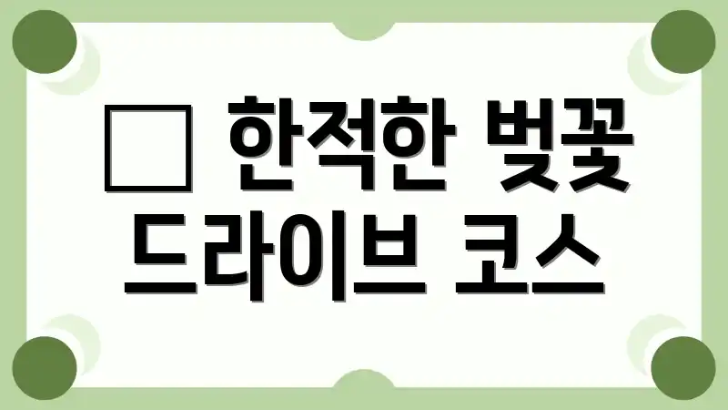 🚗 한적한 벚꽃 드라이브 코스