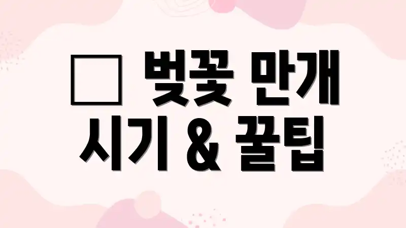📸 벚꽃 만개 시기 & 꿀팁