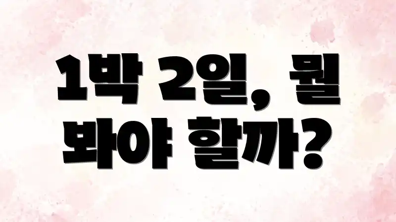 1박 2일, 뭘 봐야 할까?