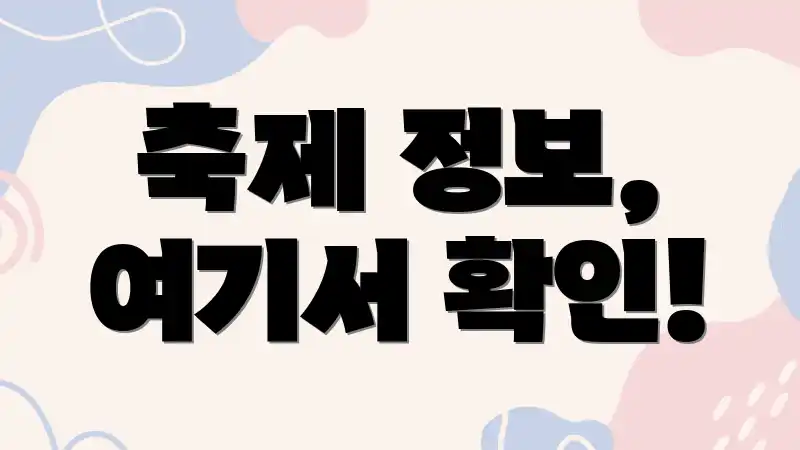 축제 정보, 여기서 확인!