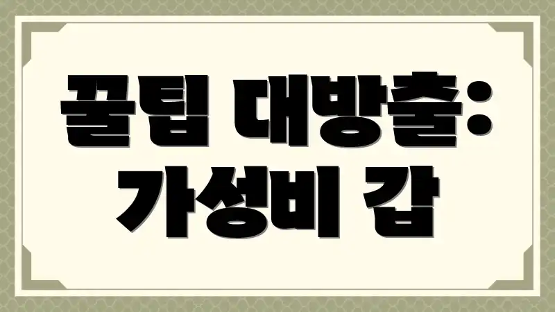 꿀팁 대방출: 가성비 갑