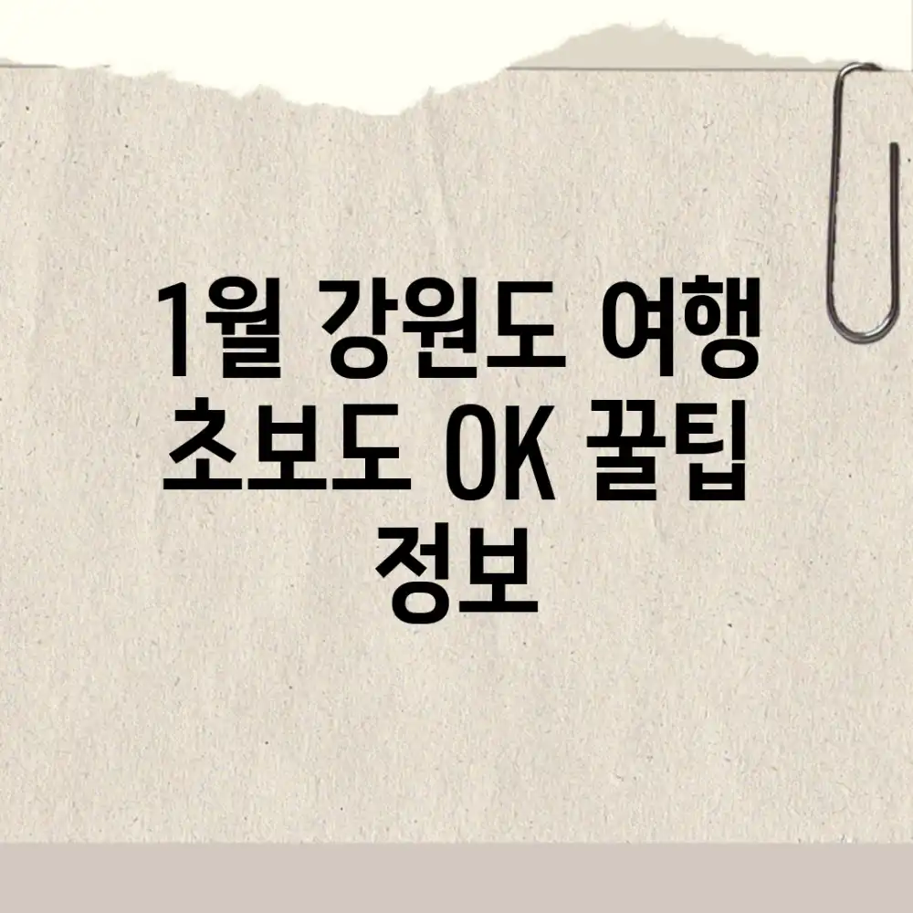 1월 강원도 여행, 초보도 OK! 꿀팁 정보