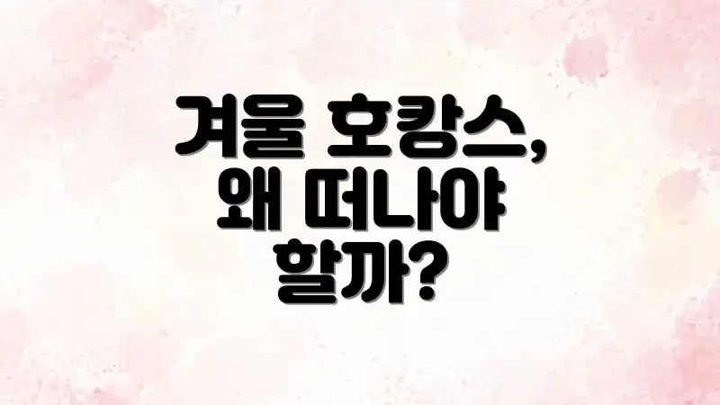 겨울 호캉스, 왜 떠나야 할까?