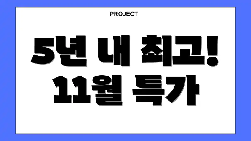 5년 내 최고! 11월 특가
