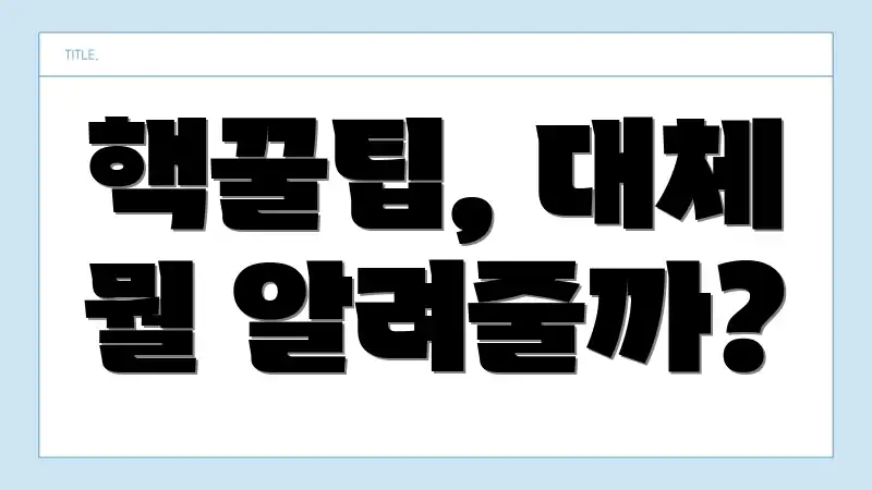 핵꿀팁, 대체 뭘 알려줄까?