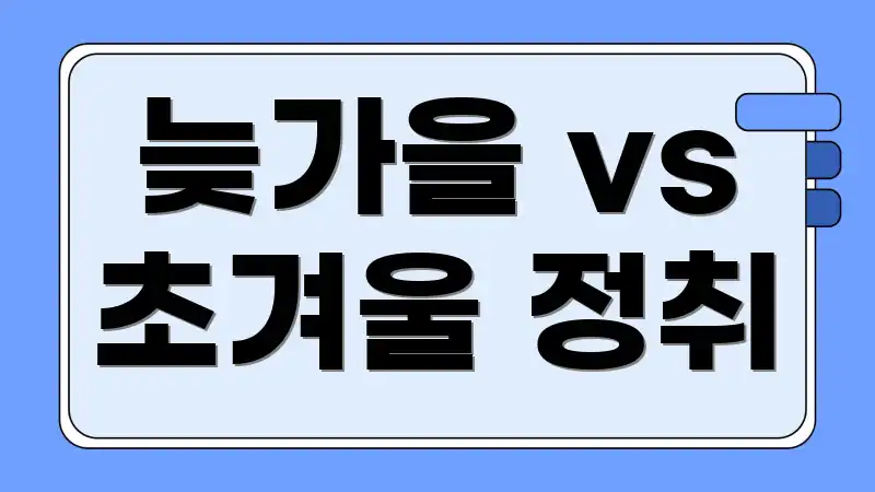 늦가을 vs 초겨울 정취