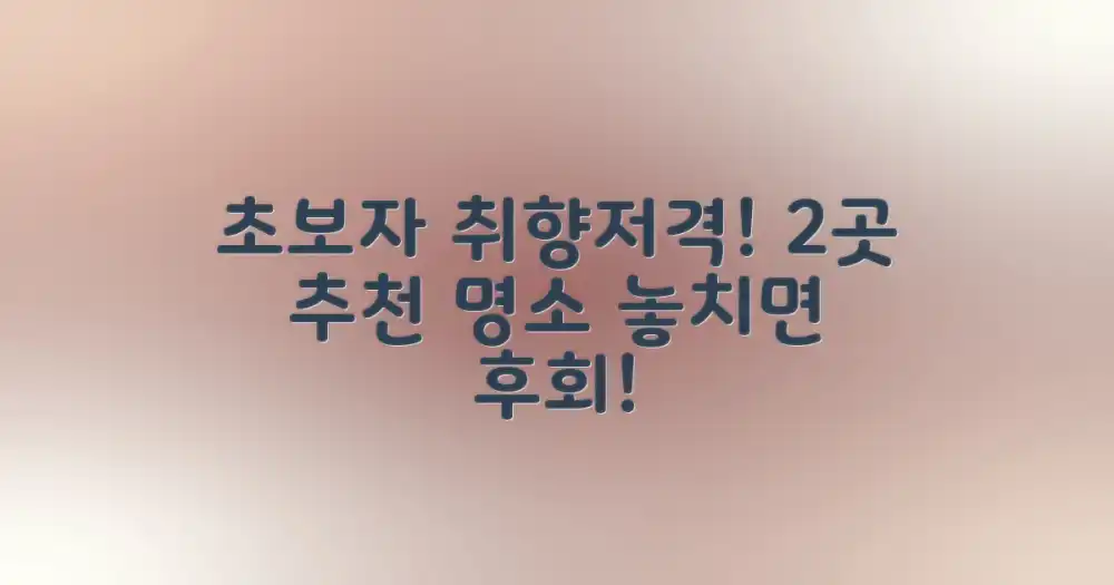 2곳: 초보자 맞춤 명소